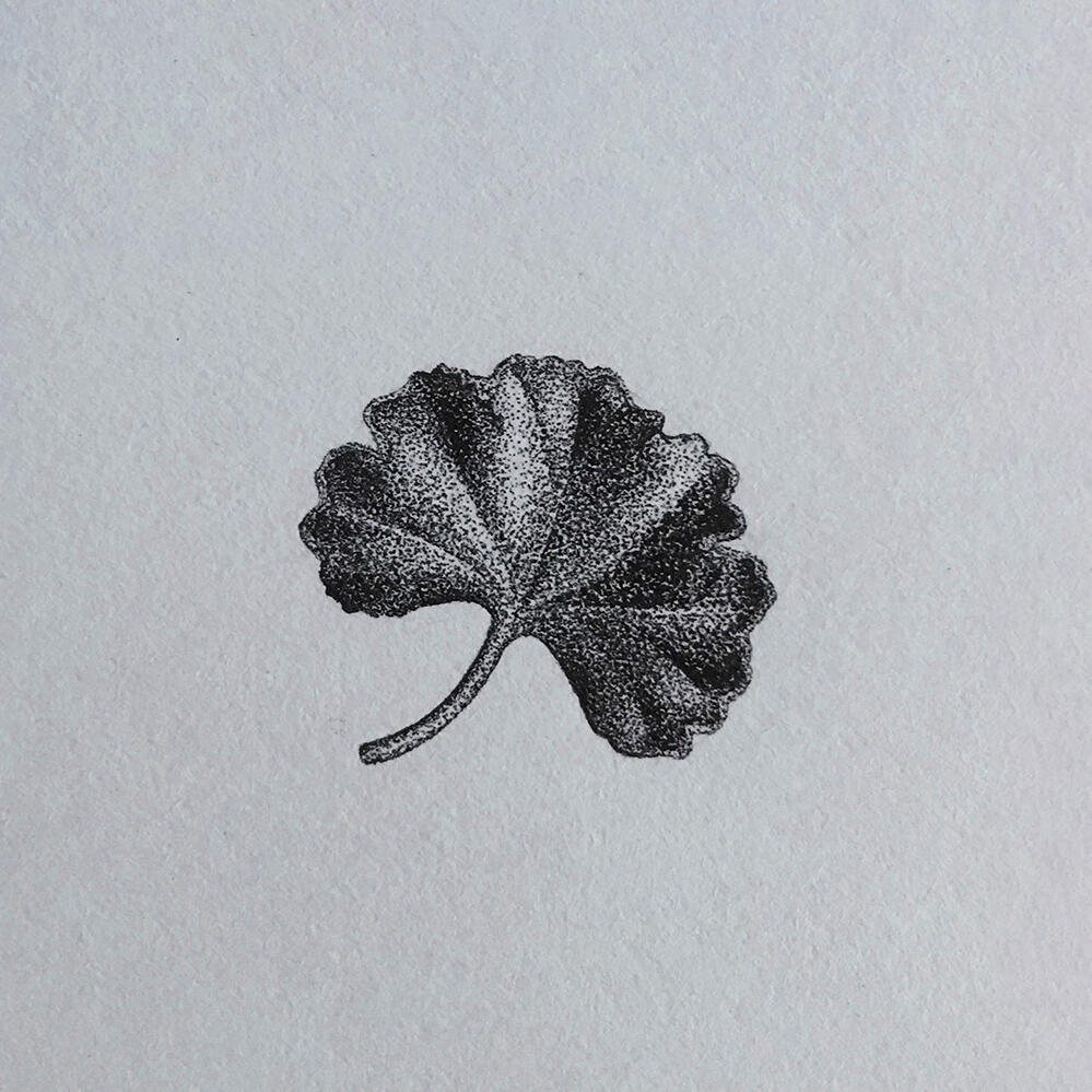 Geranium leaf study with micron pens.