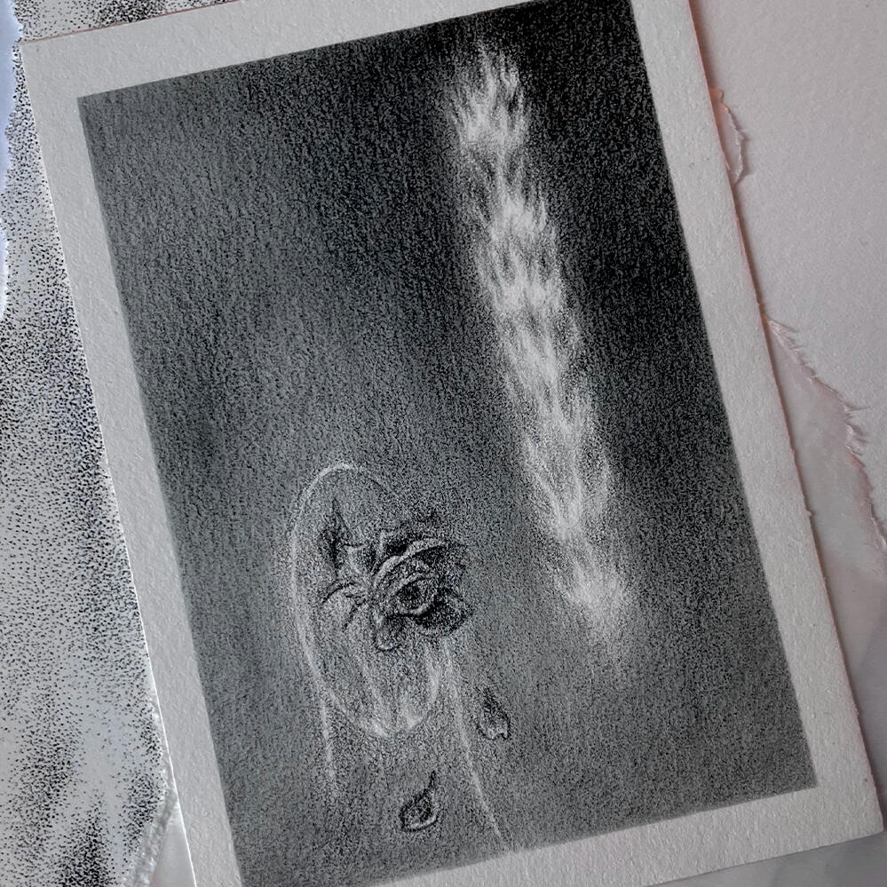 Blush. Colored pencil.