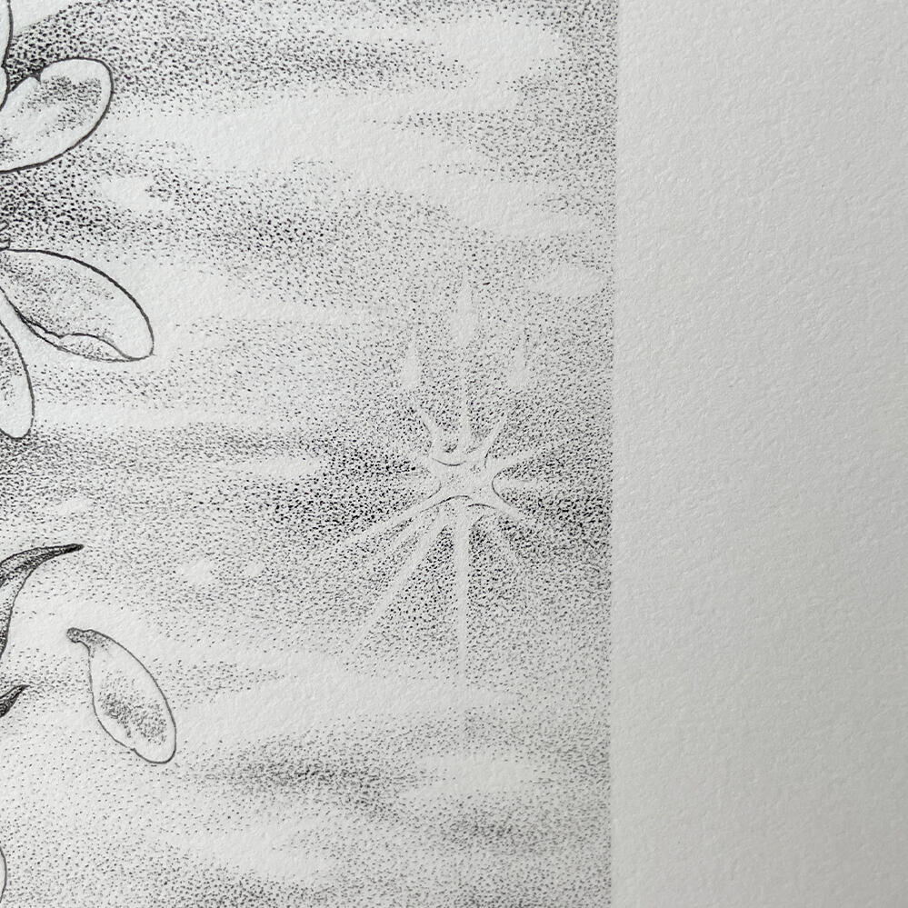 Close-up of stippling details.