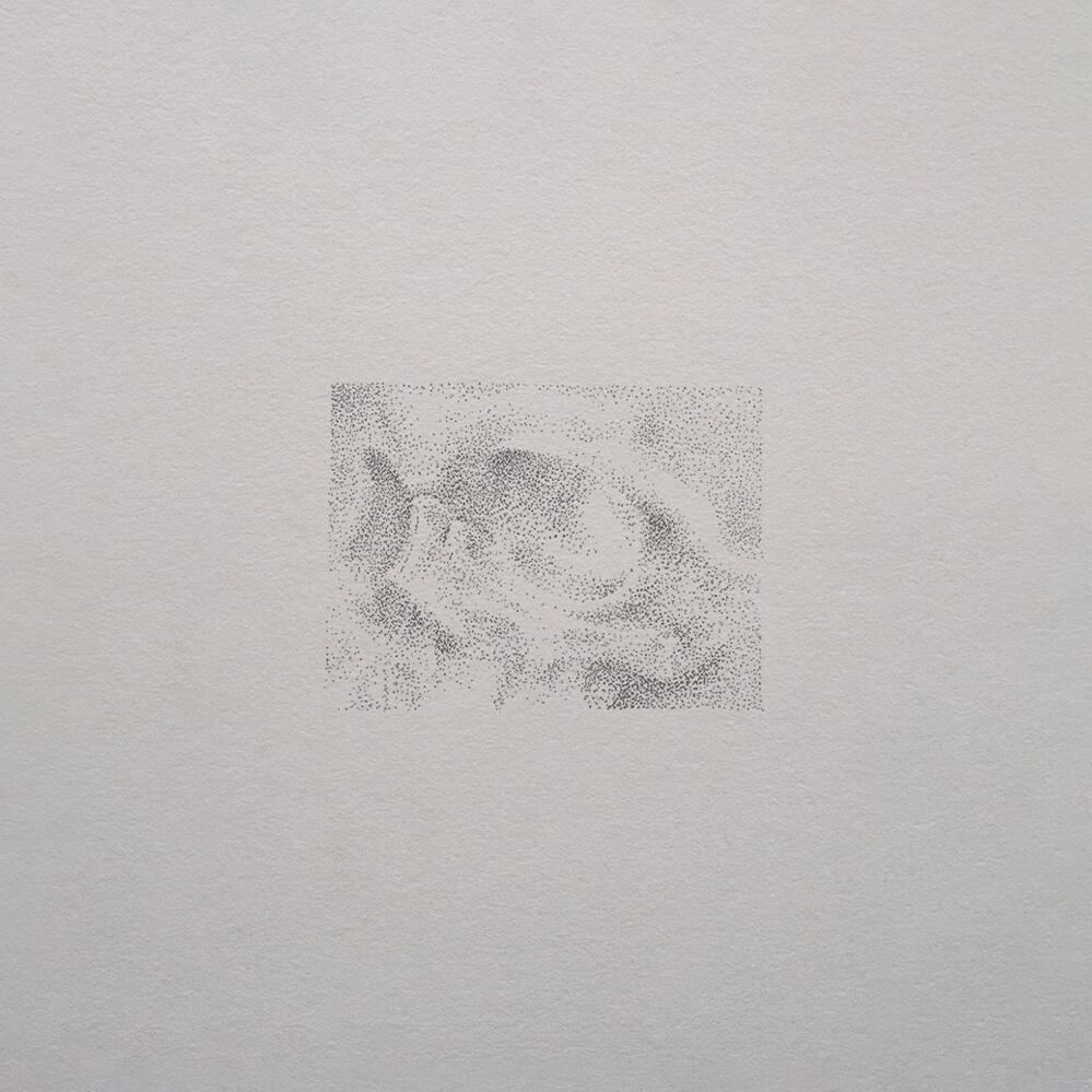 Skull study. Micron pen.